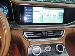 FAW Red Flag H9 2.0T Smart Connected Premium Edition - photo 12