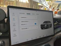 BYD Frigate 07 DM-i 100KM Flagship - photo 20