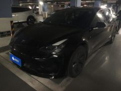 Tesla Model 3 556km Rear-Wheel Drive Edition - ფოტო 1