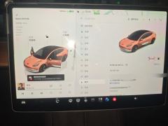 Tesla Model 3 556km Rear-Wheel Drive Edition - ფოტო 20