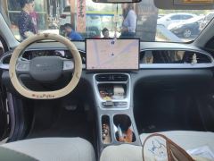 Geely Galaxy Star Wish 310km Dream Edition - photo 16