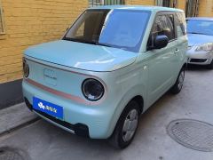 Geely Galaxy Panda mini 200km Endurance Bear - photo 1