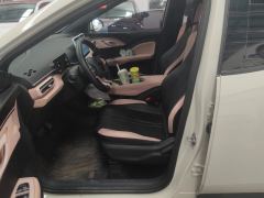 BYD Seagull 305km Free Version - ფოტო 14