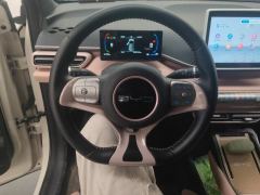 BYD Seagull 305km Free Version - ფოტო 18