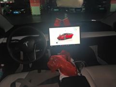 Tesla Model 3 556km Rear-Wheel Drive Edition - ფოტო 16