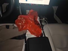 Tesla Model 3 556km Rear-Wheel Drive Edition - ფოტო 19