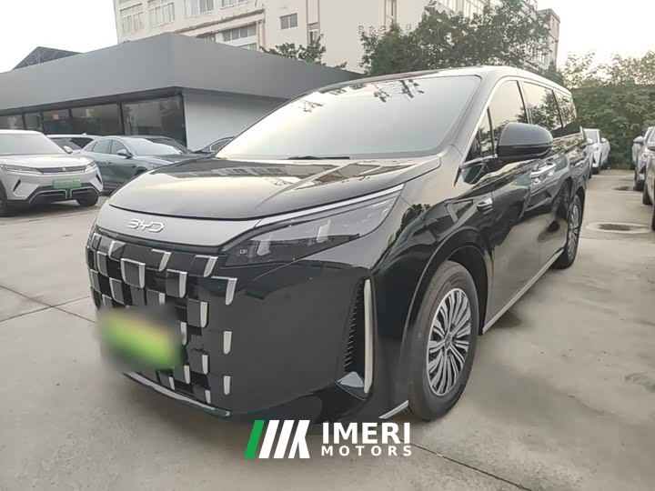 BYD M9 1060 Pilot Pro - автомобиль из Китая