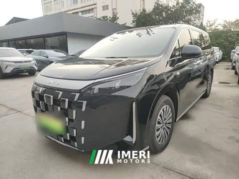 2026 BYD M9 1060 Pilot Pro - car from China