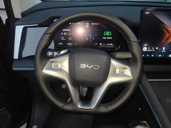 BYD M9 1060 Pilot Pro - фото 10
