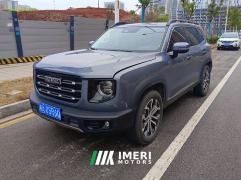 2022 Haval Great Wall Big Dog Great Wall Dog 1.5T 2WD Edge Pastoral Edition - автомобиль из Китая