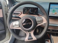 BYD Seagull 305km Vitality Edition - ფოტო 18