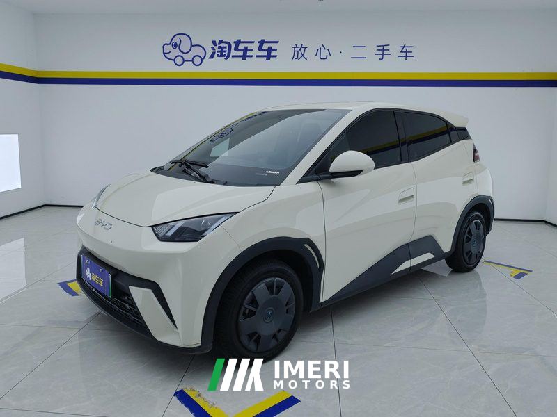 BYD Seagull 305km Vitality Edition