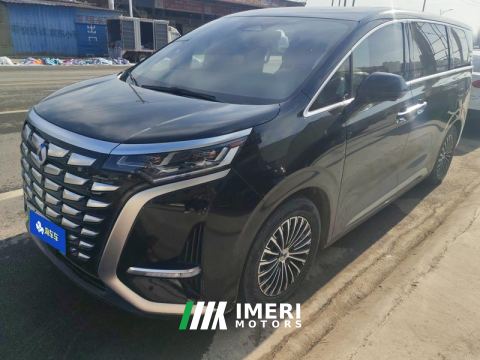 2024 Denza D9 DM-i 1.5T 190km AWD Version 7 - ავტომობილი ჩინეთიდან