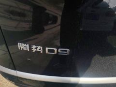 Denza D9 DM-i 1.5T 190km AWD Version 7 - фото 7
