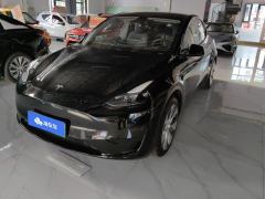 Tesla Model Y 545km Rear-Wheel Drive Edition - ფოტო 1
