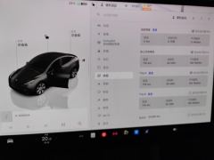 Tesla Model Y 545km Rear-Wheel Drive Edition - ფოტო 20