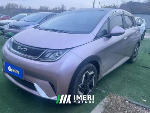 2021 BYD Dolphin 405km Stylish Edition - ავტომობილი ჩინეთიდან