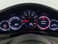 Porsche Panamera 2.9T Platinum Edition - photo 8