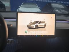 Tesla Model 3 556km Rear-Wheel Drive Edition - ფოტო 17