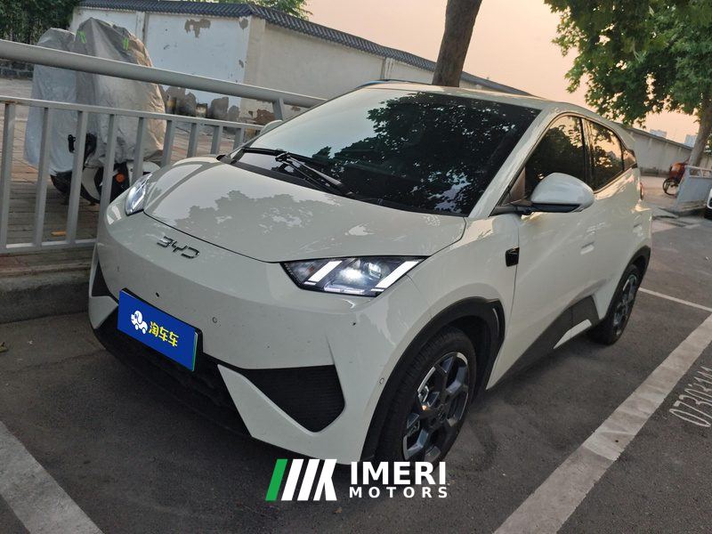 BYD Seagull Smart Driving Edition 305km Free Version - ავტომობილი ჩინეთიდან