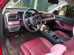 Great Wall Cannon Off-Road 2.0T AWD Edition - ფოტო 16