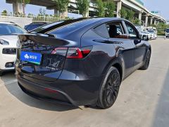 Tesla Model Y 554km Rear-Wheel Drive Edition - ფოტო 2