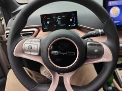BYD Seagull 305km Vitality Edition - ფოტო 18