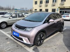 BYD Dolphin 401km Knight Edition - ფოტო 1