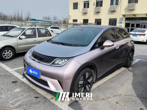 2021 BYD Dolphin 401km Knight Edition - ავტომობილი ჩინეთიდან
