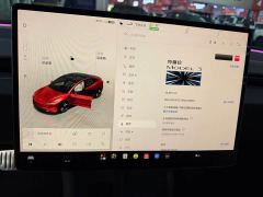 Tesla Model 3 High Performance All-Wheel Drive - фото 7