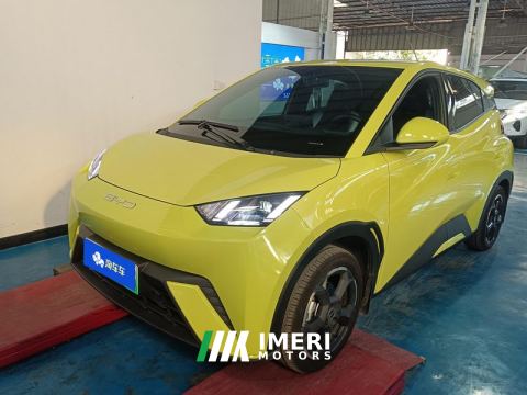 2023 BYD Seagull 405km Flying Edition - car from China
