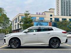 BMW X2 (Imported) sDrive25i M Sport Package - ფოტო 5