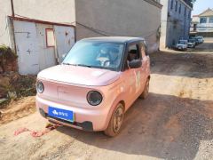 Geely Galaxy Panda mini 200km Animated Bear - ფოტო 1