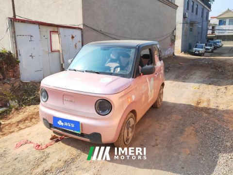 2023 Geely Galaxy Panda mini 200km Animated Bear - ავტომობილი ჩინეთიდან
