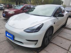 Tesla Model 3 556km Rear-Wheel Drive Edition - ფოტო 1