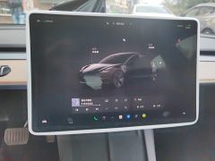 Tesla Model 3 556km Rear-Wheel Drive Edition - ფოტო 20