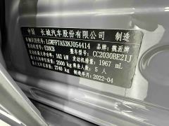 Tank 300 2.0T Wind Forest Iron Cavalry - ფოტო 11