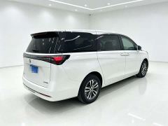Buick GL8 Land Executive Cabin Advance Edition - ფოტო 12