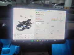 Tesla Model Y Standard endurance rear-wheel drive - ფოტო 20