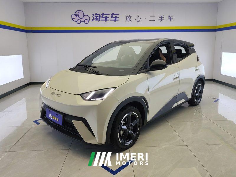 BYD Seagull 405km Flying Edition - car from China