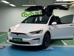 Tesla Model X Dual Motor All-Wheel Drive - ფოტო 19