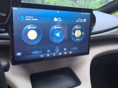 BYD Dolphin 420km Stylish Edition - ფოტო 17
