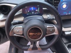 BYD Dolphin 420km Stylish Edition - ფოტო 18