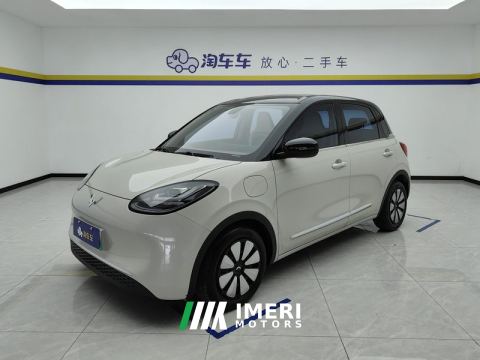 2023 Wuling Bingo Binguo 410km Lingxi Premium Edition
