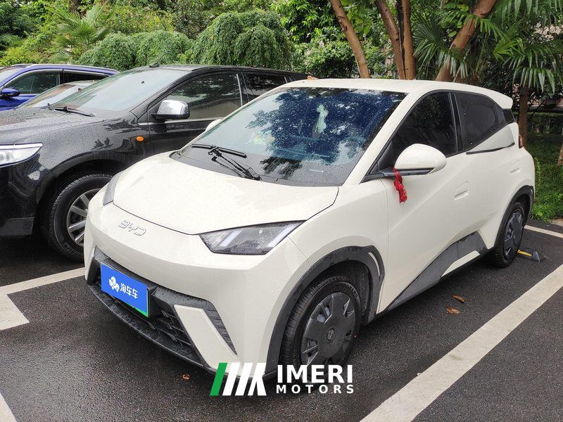 BYD Seagull Honor Edition 305km Vitality Edition