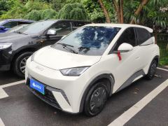 BYD Seagull Honor Edition 305km Vitality Edition - ფოტო 1