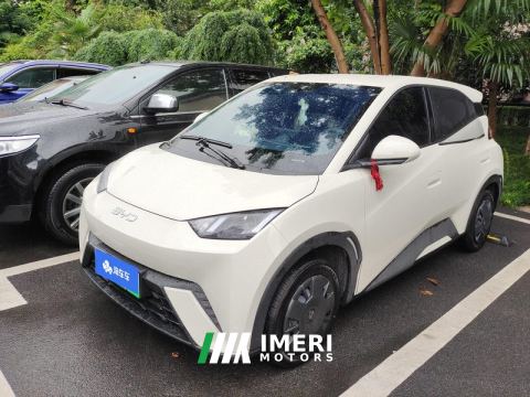 2024 BYD Seagull Honor Edition 305km Vitality Edition - ავტომობილი ჩინეთიდან