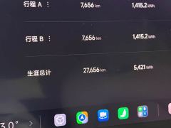 Xiaomi SU7 Quad Motor Max Founder Edition - ფოტო 16