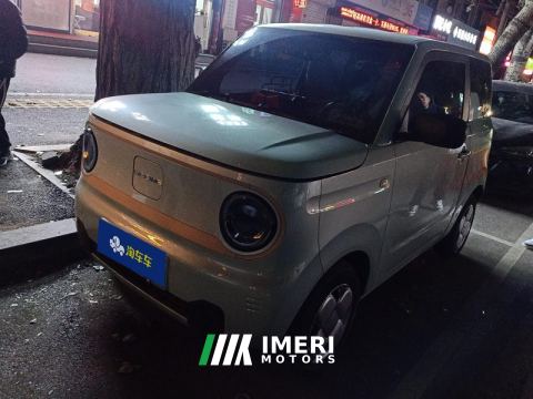 2024 Geely Galaxy Panda mini 200km Endurance Bear - ავტომობილი ჩინეთიდან