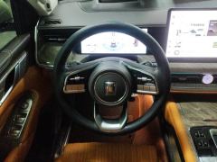 Tank 500 3.0T Business Edition 5 - ფოტო 12